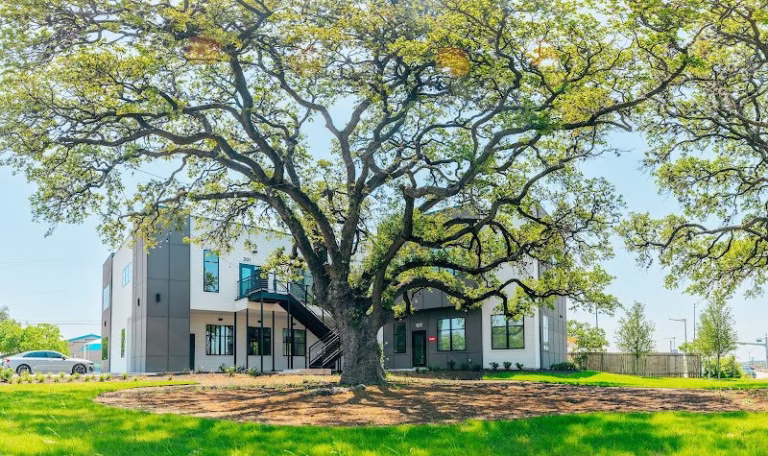 254569 lott brothers construction company ltd 768x456