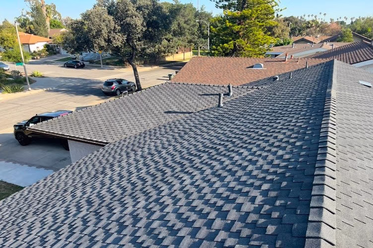 254804 confirmed roofing experts 8211 roofing contractor