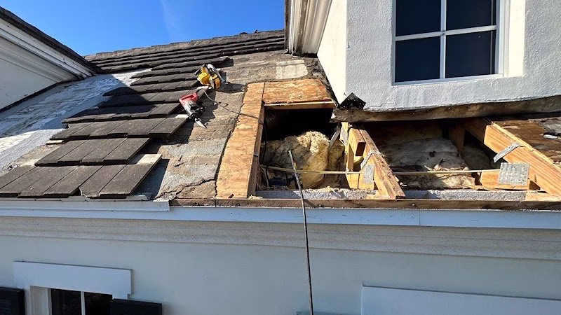 255615 hernandez sons roofing construction