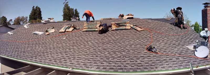 256273 ace roofing sf inc
