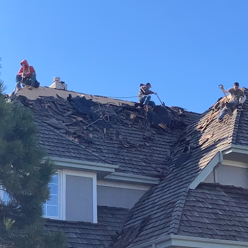 256637 gorilla roof inc