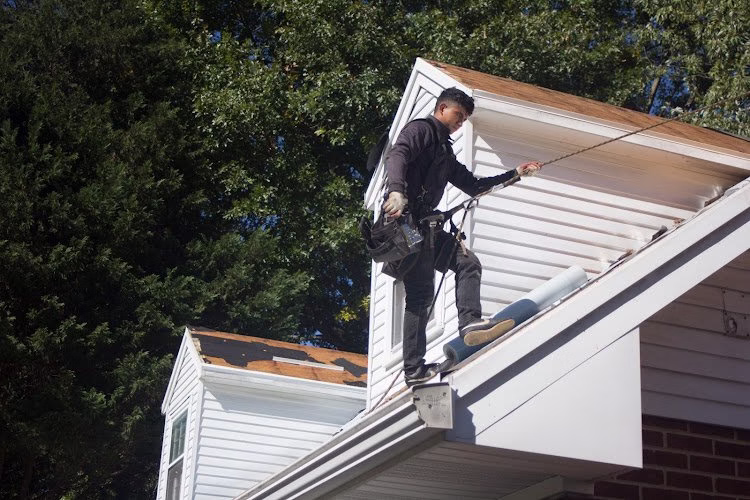 256950 capitol improvements 8211 roofing company siding contractor