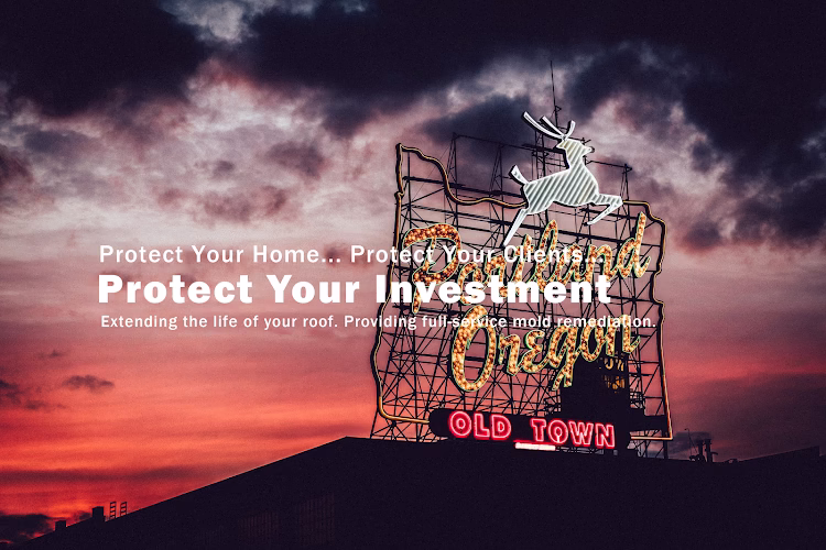 257326 real estate roofing mold solutions