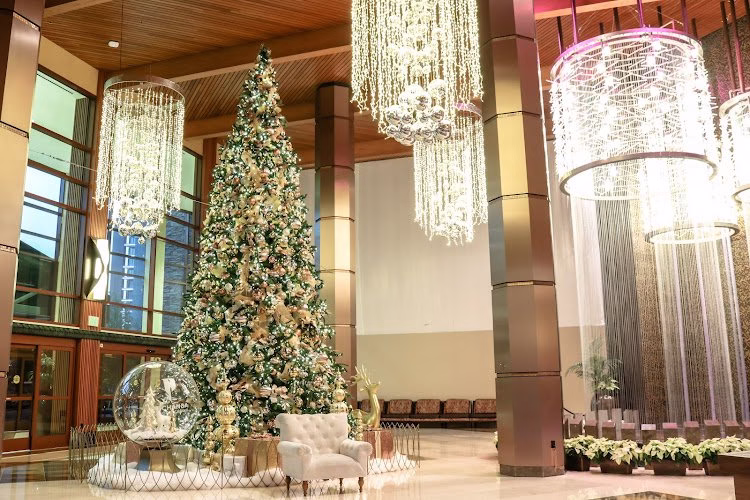 259449 meraki visual designs