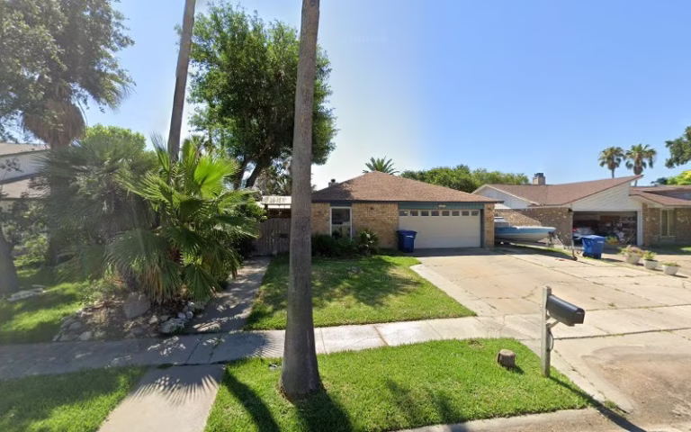 259584 branching out interior plants 1 768x480