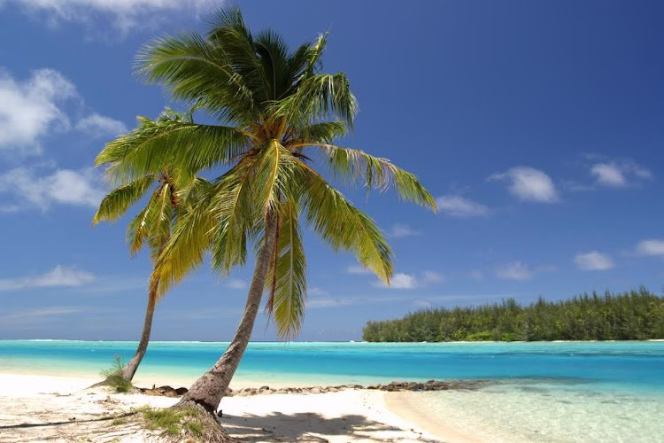 262227 paradise heating cooling