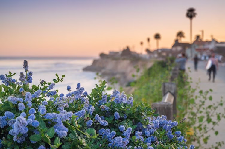 262388 waltons plumbing inc