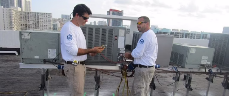 262399 polar bear air conditioning 768x324