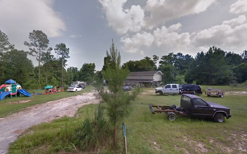 262566 piney insulation