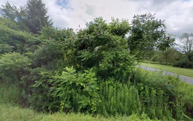 263069 efficient technologies inc 1 768x480