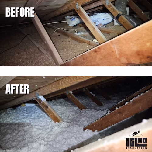 263448 igloo insulation