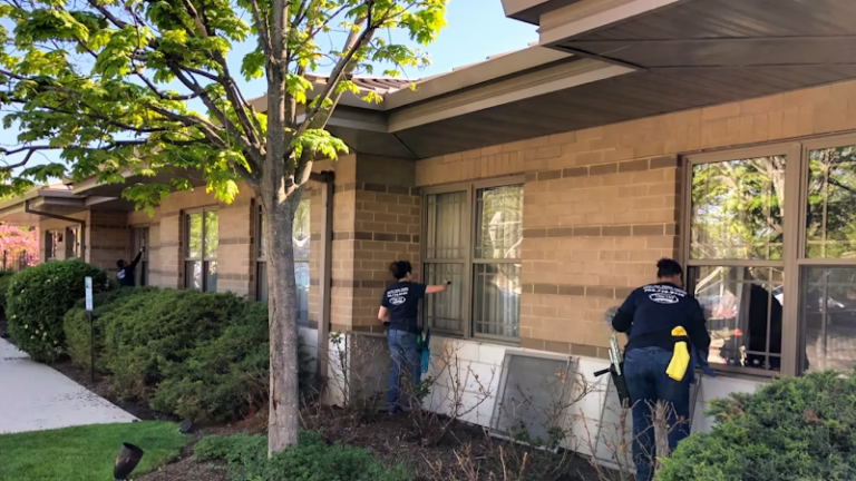 264420 clean view window cleaning 768x432