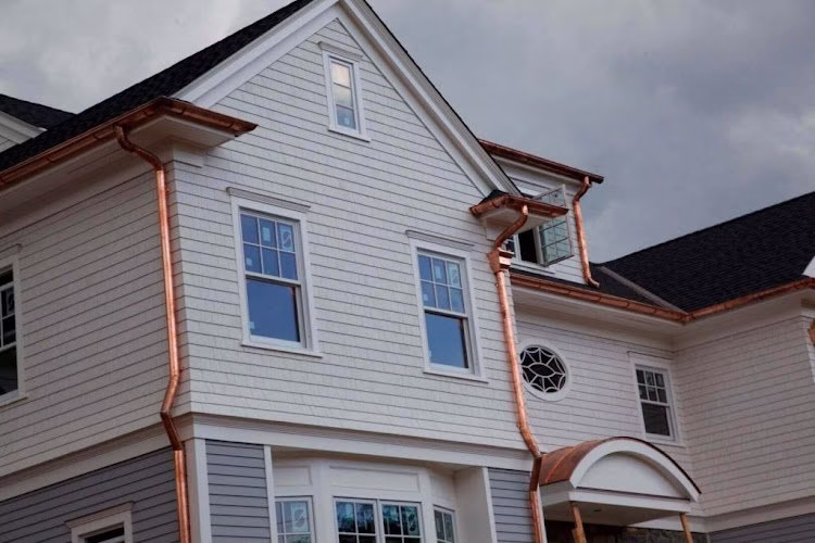 264456 the brothers that just do gutters 9