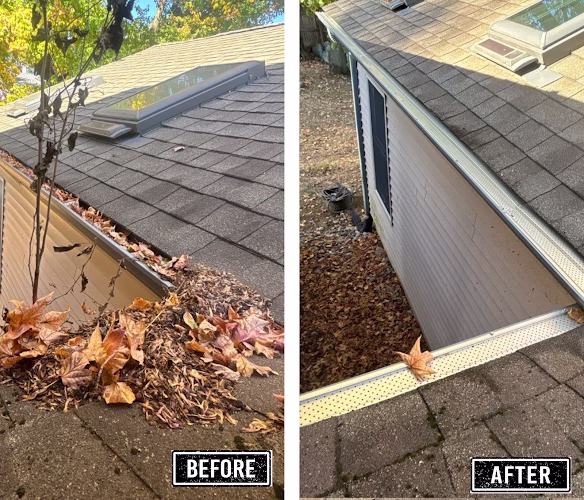 264563 squeeky clean services inc shamrock construction solutions