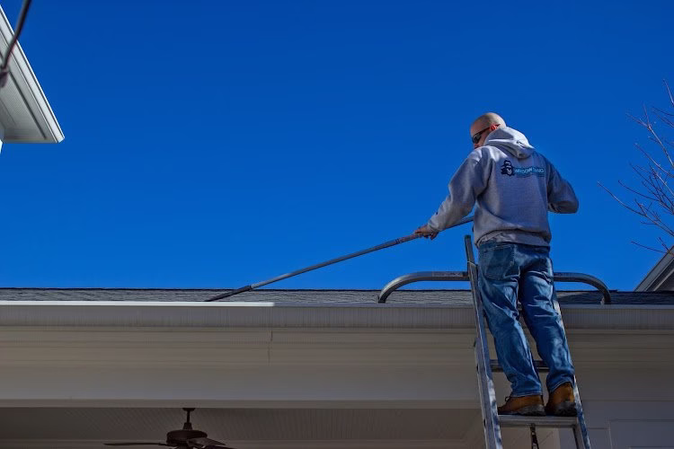 264622 window gang 8211 san antonio tx