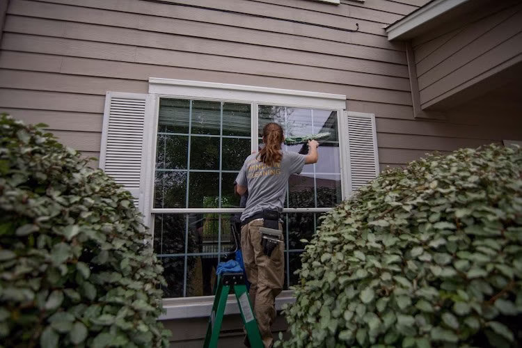 264769 gwyndows window cleaning