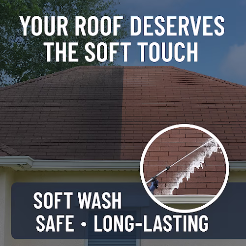 264901 jax pro pressure washing llc