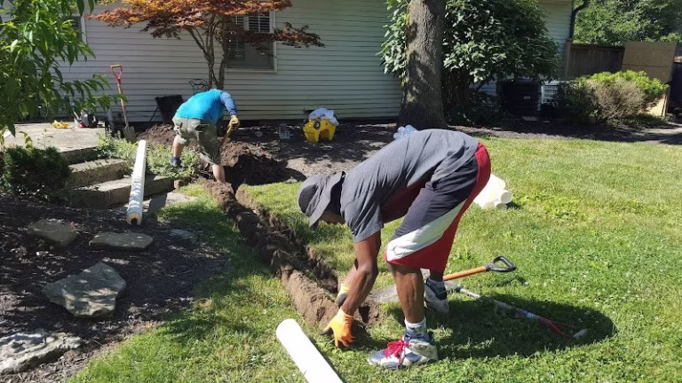 264955 dan the gutterman 768x432