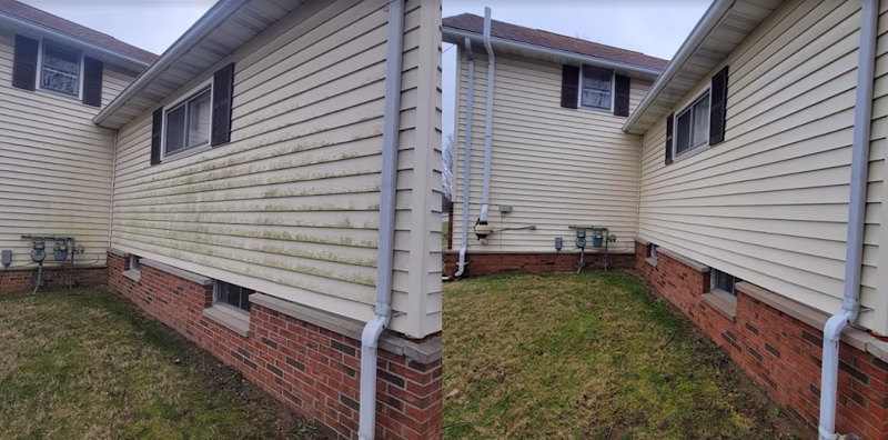 264986 true clean prowash