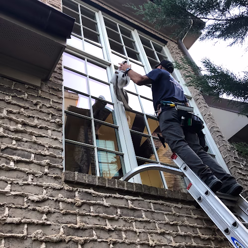 265046 abide window services inc