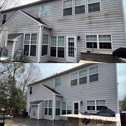 265071 proforce pro wash