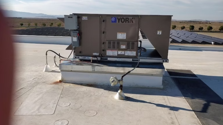 267660 ac today 768x432