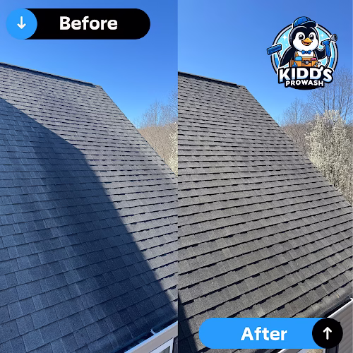 267965 kidds prowash