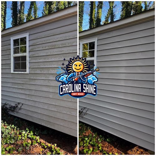 268074 carolina shine soft wash