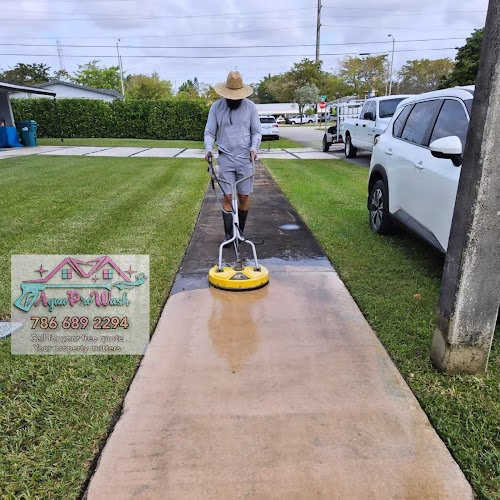 268113 agua pro wash