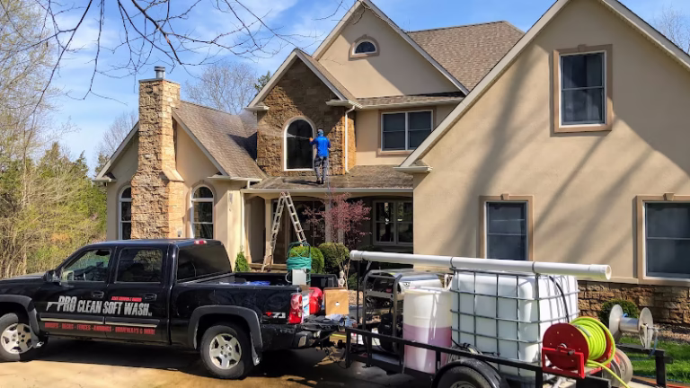 268599 total softwash solutions 768x432