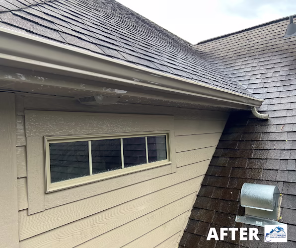 268684 safe wash pressure soft wash cleaning