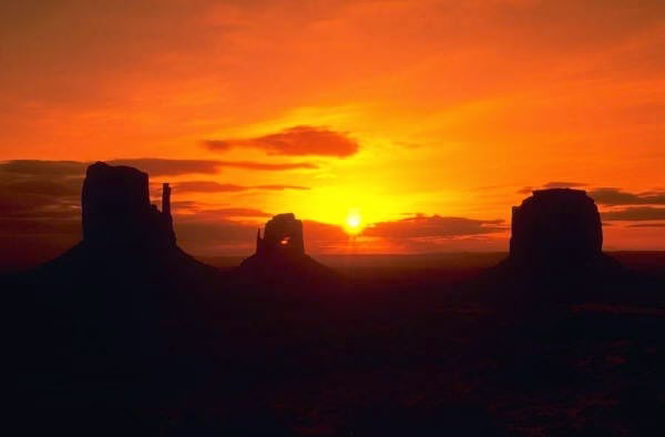 269167 sunseeker rentals property management