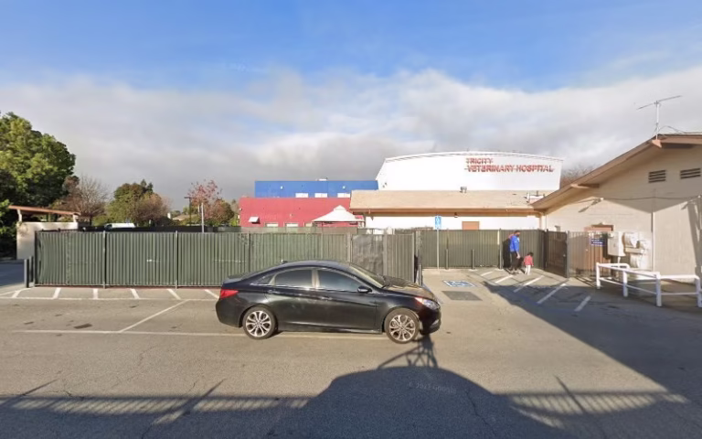 270052 salwan property management 768x480