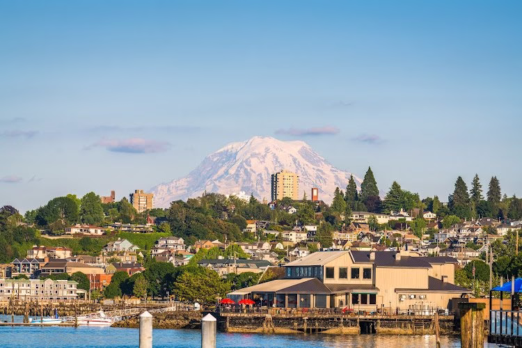 270779 safe harbor property management