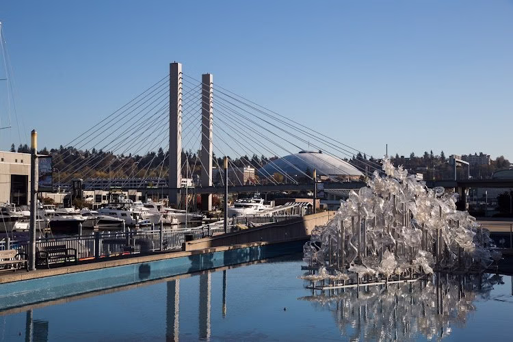 270789 starboard real estate