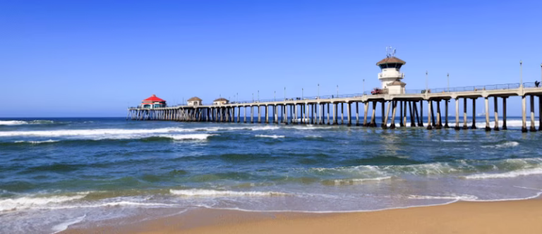 271251 lion properties 768x332