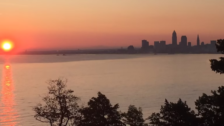 271926 allstar management 768x432