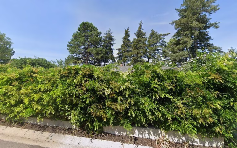 272404 wasatch realty property management 768x480