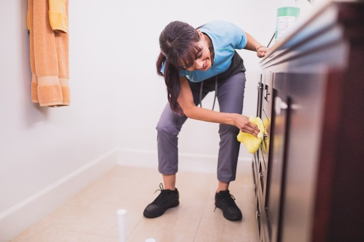 273728 merry maids of mendota heights