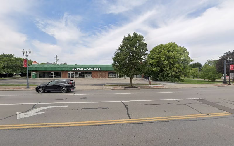 273844 your family maid