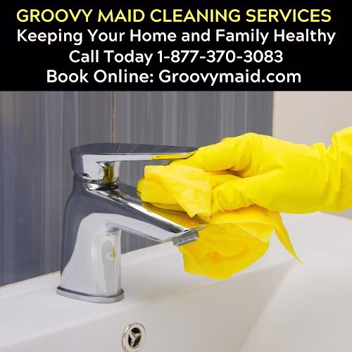 273865 groovy maid