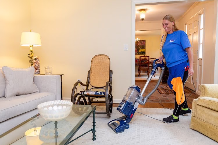 273871 mrs. clean pittsburgh