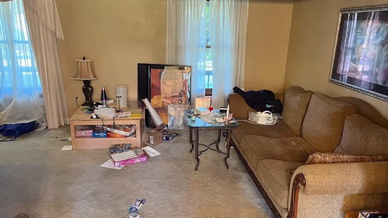 273925 vl cleaning services llc 768x432