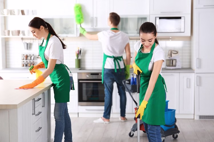 273955 kb cleaning and maid services llc