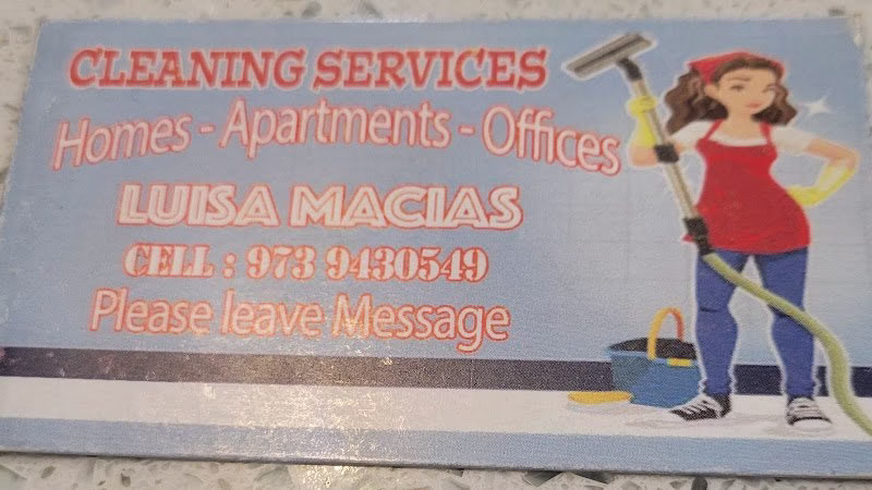 274197 luisa cleaning