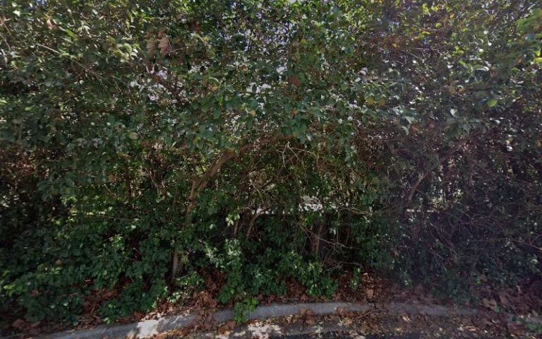 274384 cleaning services housekeeping on the beach 768x480