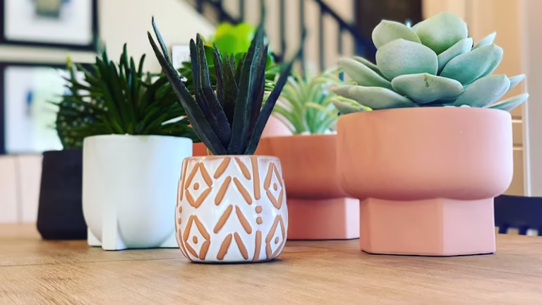 274563 modern cleaning arizona 768x432