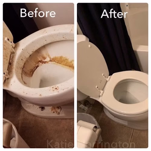 274611 renos biggest little cleaning company