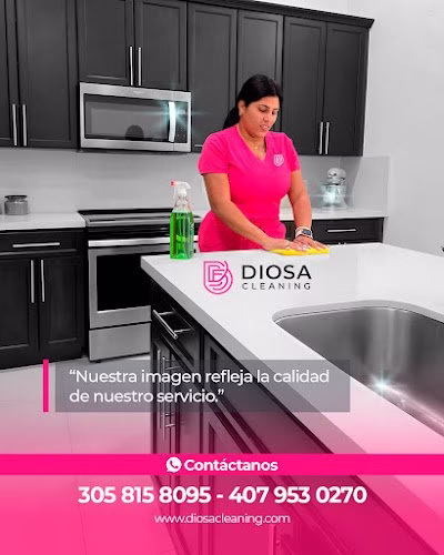 274805 diosa cleaning service