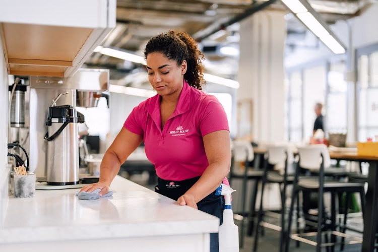 274842 molly maid of boise and the treasure valley